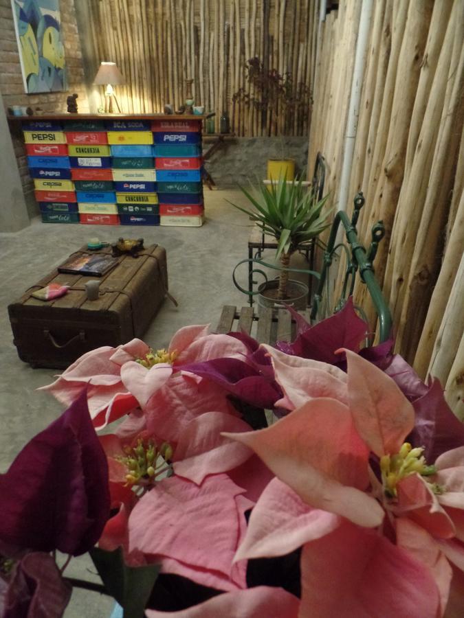 The Upcycled Hostel Huacachina Ica Eksteriør billede